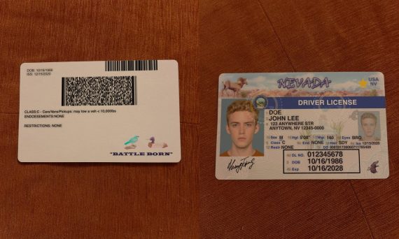 nevada identification card image